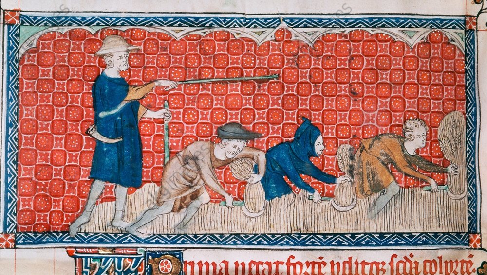 Beatrix von Storch und die TFP